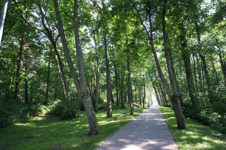 Apartamentai Obelyne Apartment Palanga