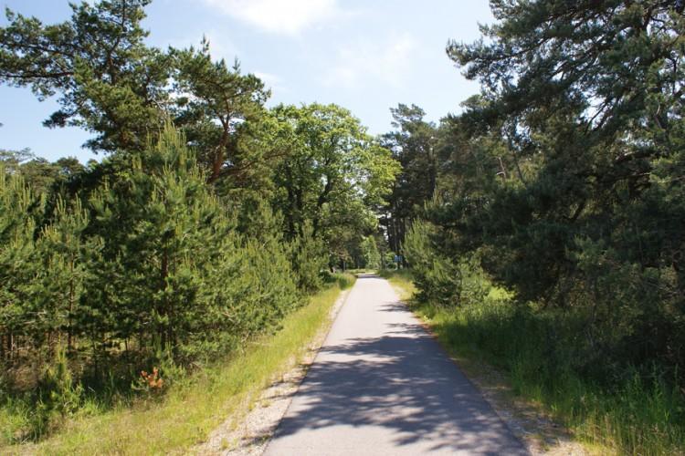 Apartamentai Obelyne * Palanga